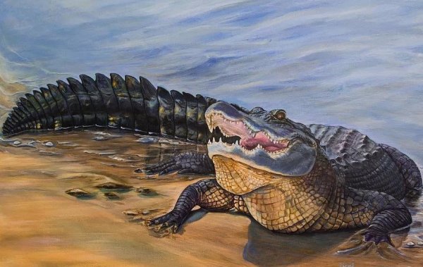 Крокодил нарисованный реалистичный