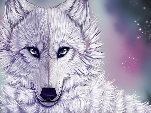 Красивый волк