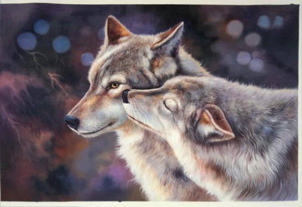 Волк эскиз тату цветной