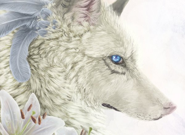 Волчица карандашом