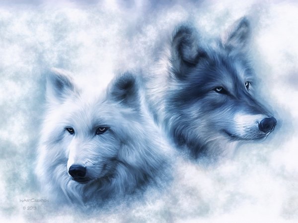 Оборотниха волчица