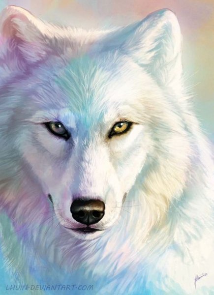 Луна и пара Волков