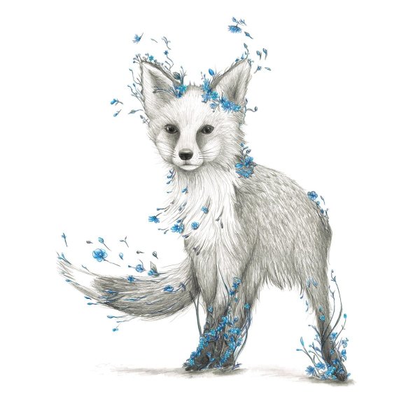 Белые лисы арт