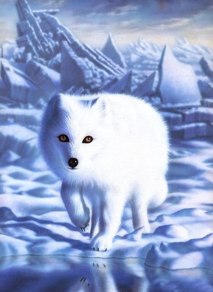 Адриан Chesterman Арктика