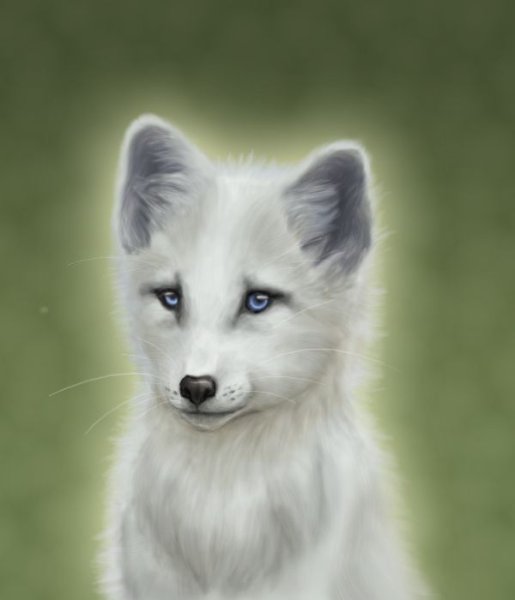 Ледяная лисица