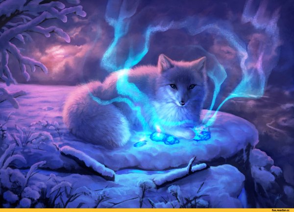 Песец мордочка