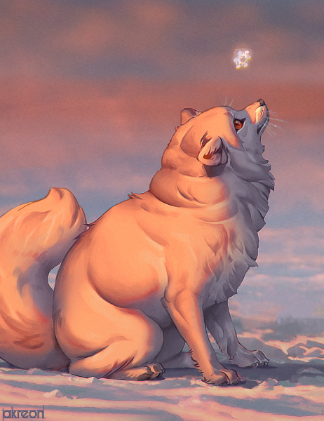 Песец гетерохромия