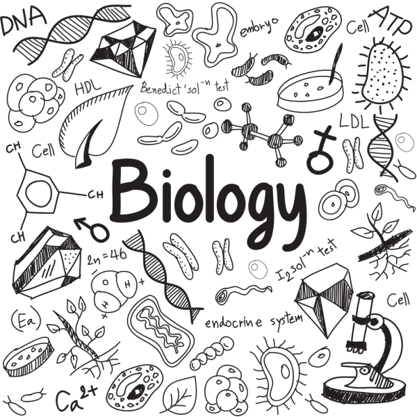Биология обложка для тетради