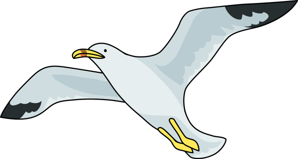 Чайки рисунок