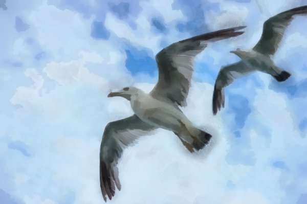 Иллюстрации к Чайке