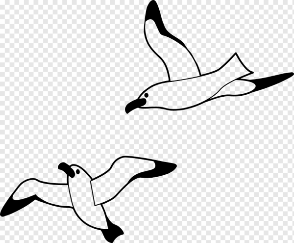 Чайки рисунок