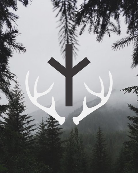 Скандинавская руна Альгиз