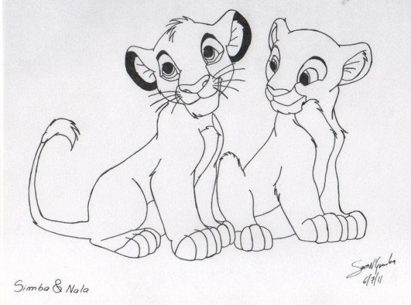 Симба Нала контур