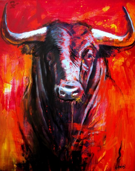 Красивый бык