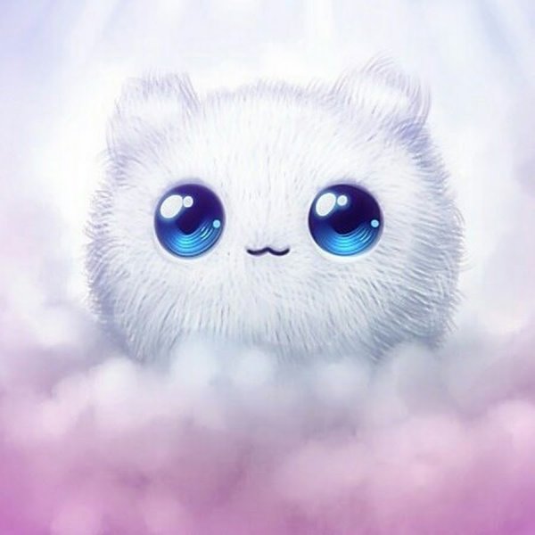 Милые котики рисунки для срисовки