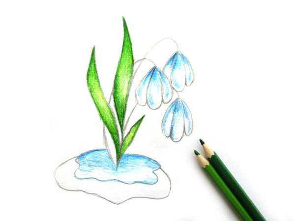 Рисование подснежники