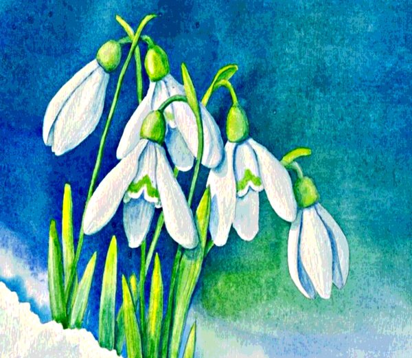 Рисование весенних цветов