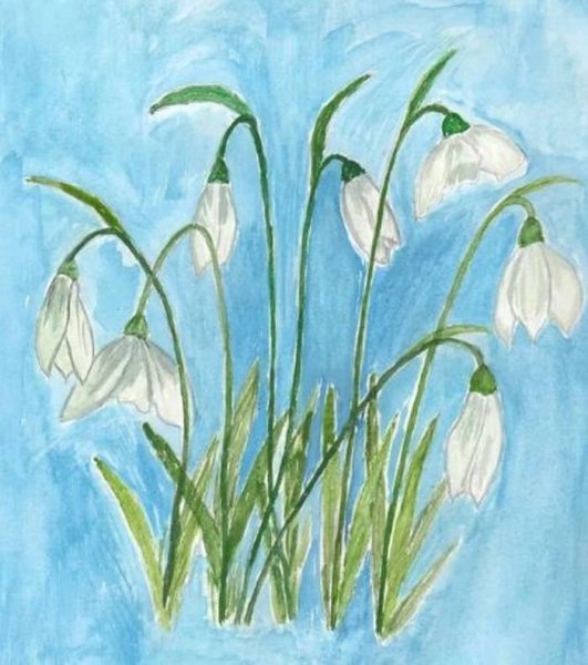 Подснежники рисунок