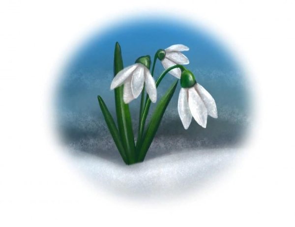 Подснежник для детей