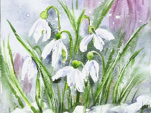 Рисование первых весенних цветов