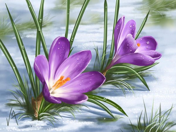 Вышивка первоцветы