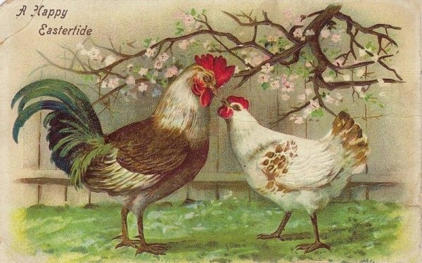 Винтажные куры