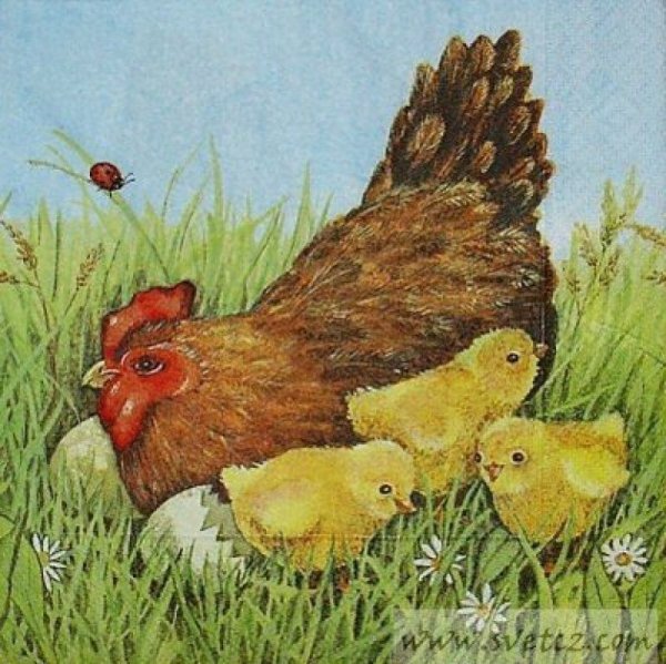 Курица с цыплятами для детей