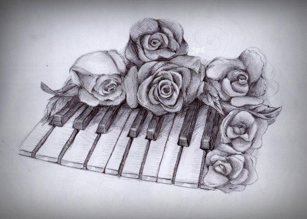 Клавиши рояля карандашом