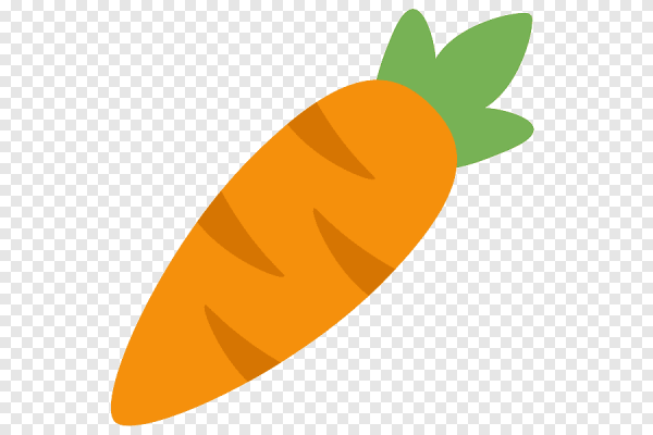 Морковь рисунок