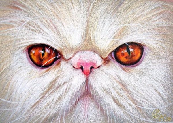 Художник Колотуша Елена (Elena Kolotusha)