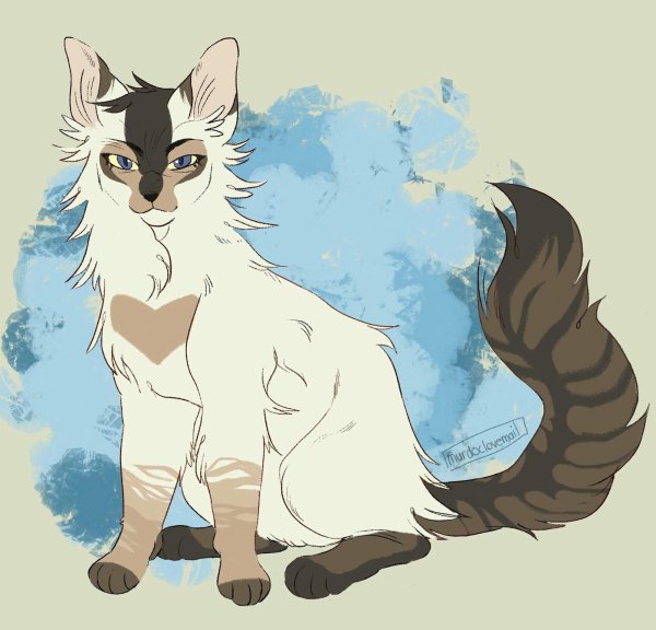 Кот воитель