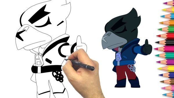 Джесси и Шелли Браво старс