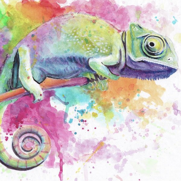 Хамелеон рисунок