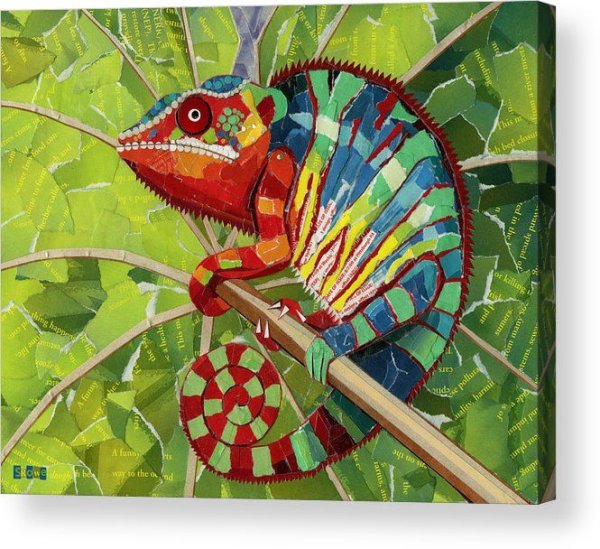 Хамелеон цветными карандашами