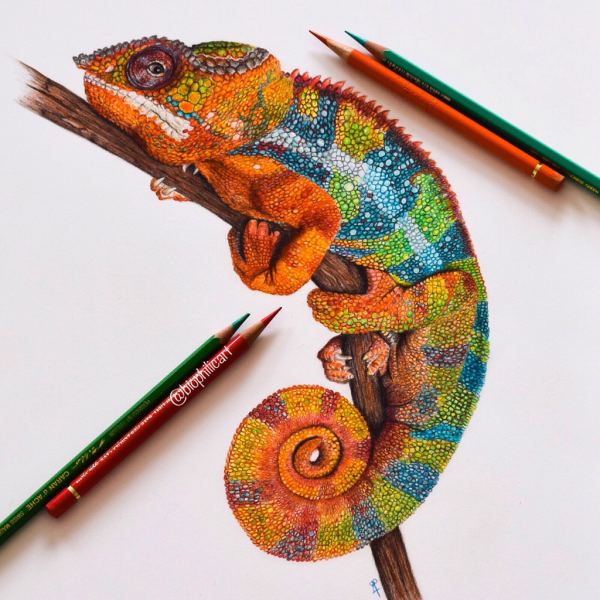 Алмазная мозаика игуана