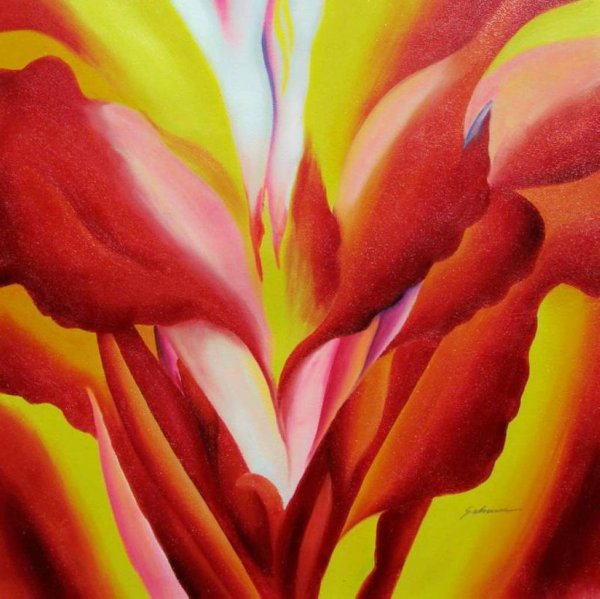 Красивые женские вульвы