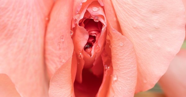 Эротические Стикеры для вайбера