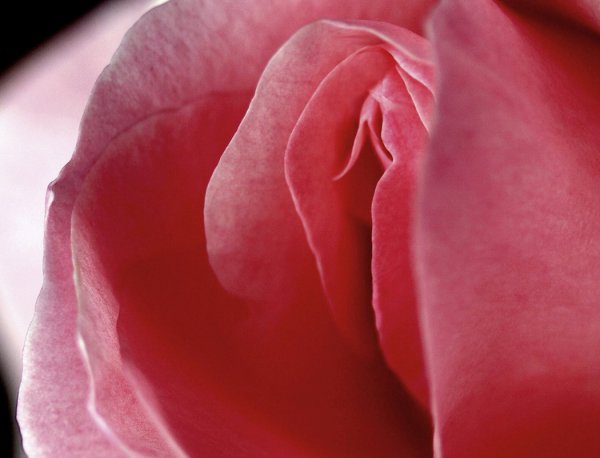 Андрей Самарин художник