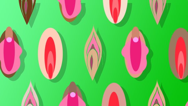 Все виды женских трусиков