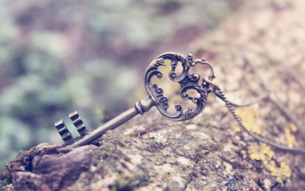 Красивый старинный ключ