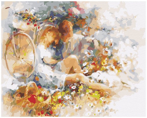 Художник Willem Haenraets