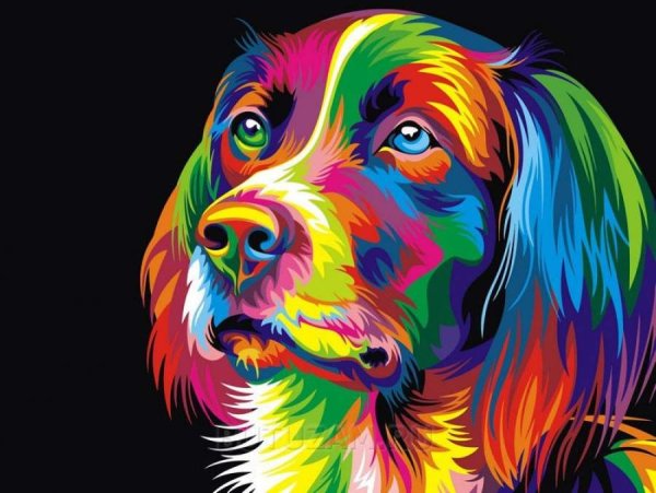 Артвентура Радужный пес