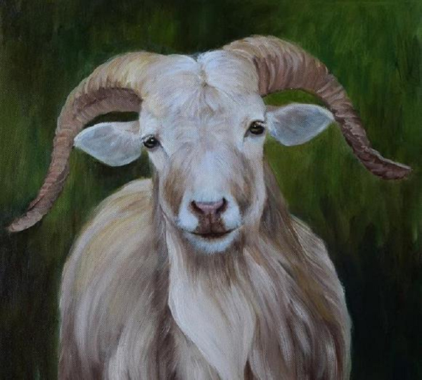 Коза акрилом