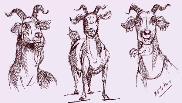 Зарисовки коз