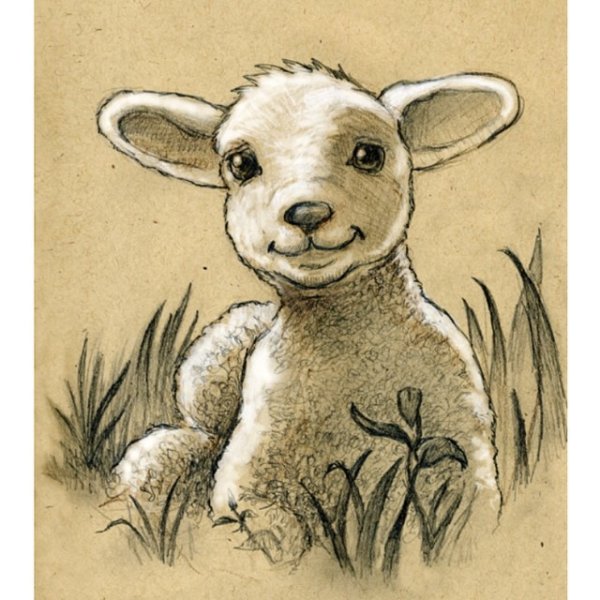 Ягненок тату