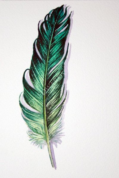 Красивые перья для срисовки