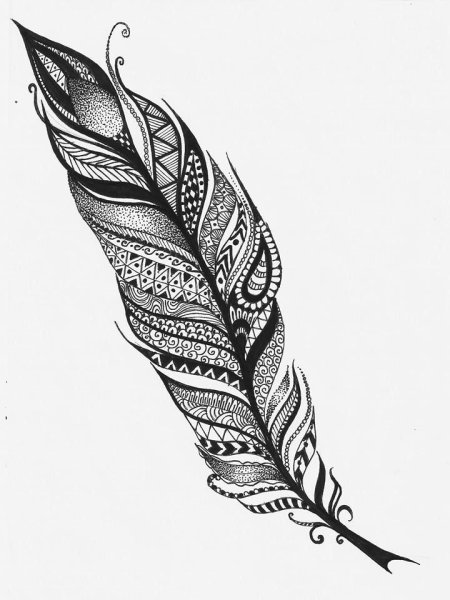 Перо Графика