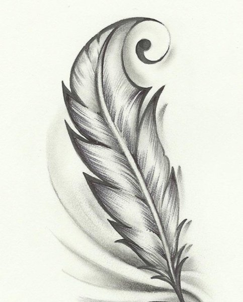 Красивое перо