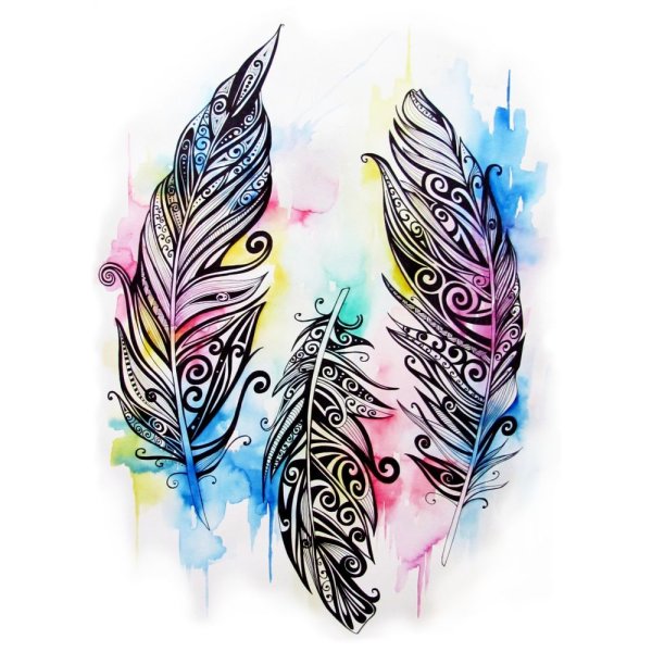 Красивые стилизованные перья