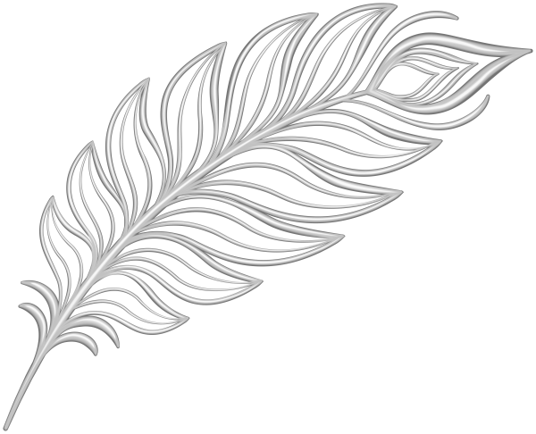 Белое перо на прозрачном фоне